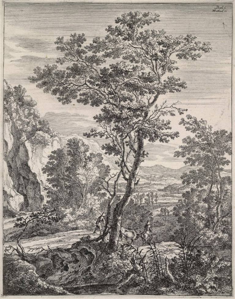 Le Grand Arbre (The Large Tree)