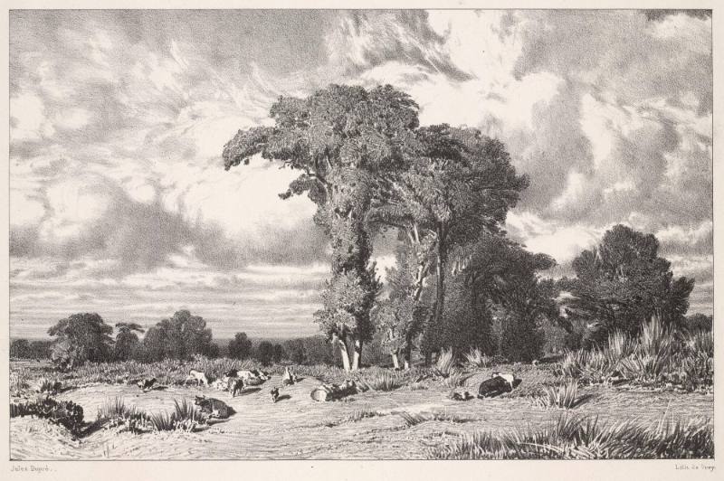 Pacages du Limousin (Pasture in Limousin)