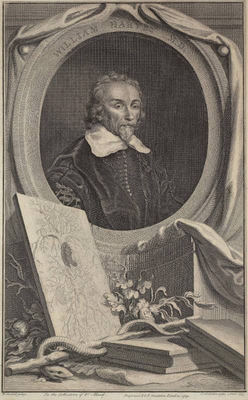 William Harvey, M. D.