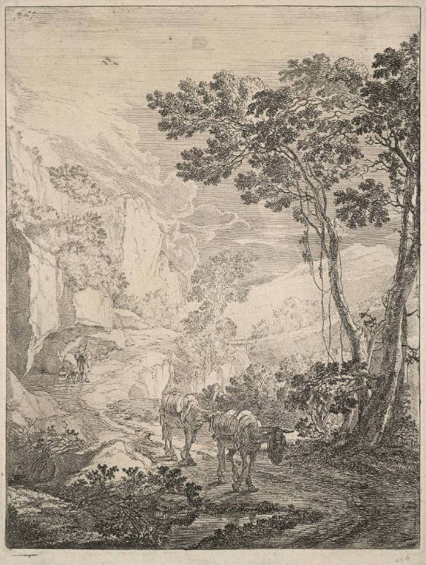 The Two Hinnies. Rocca Aquatico near Ancona