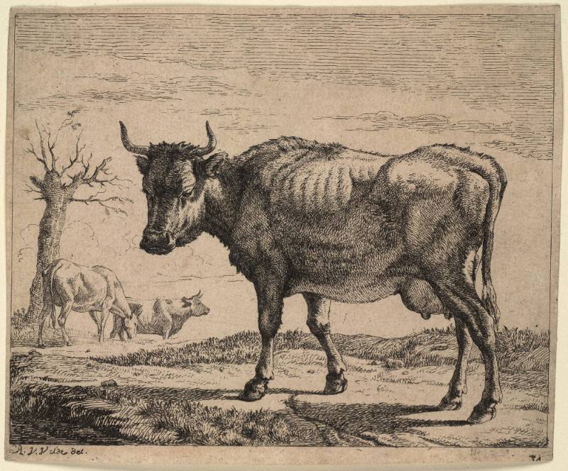 Landscape with Cows