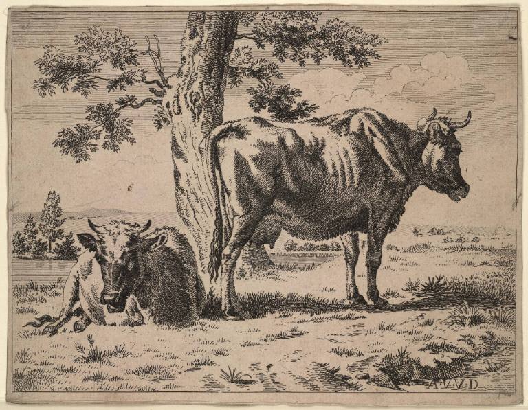 Two Cows under a Tree