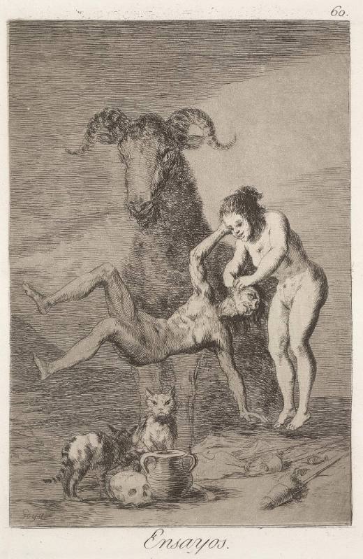 Ensayos (Experiments), plate 60 of 