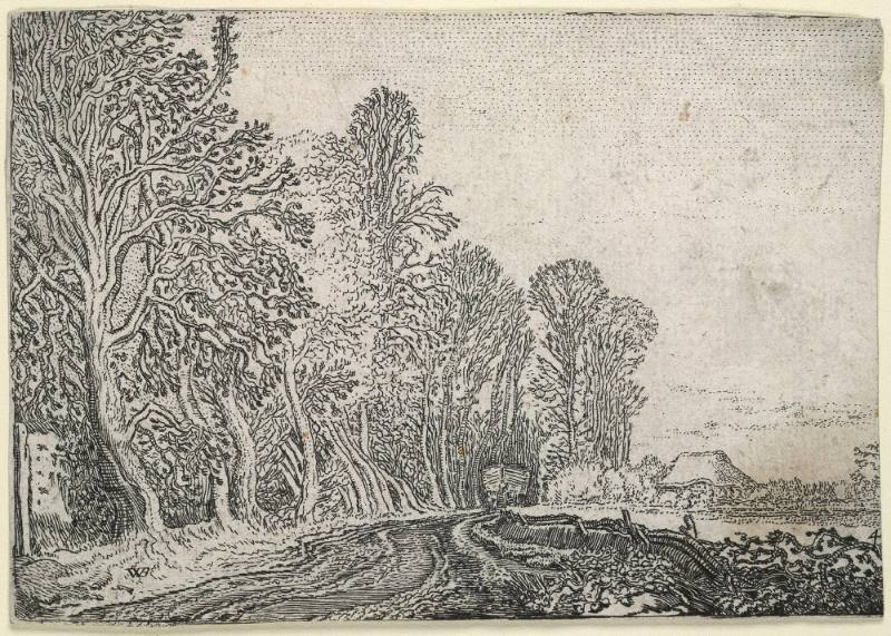 Road at the Edge of the Forest