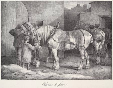 Chevaux de Ferme