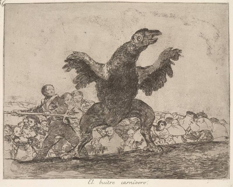 El buitre carnívoro (The carniverous vulture), Plate 76 of 