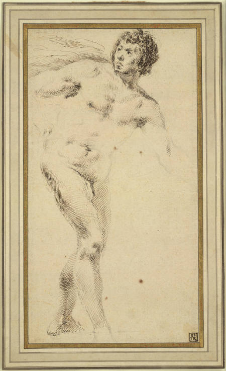 Standing Male Nude