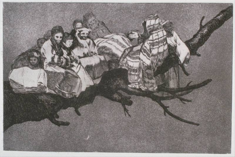 Disparate Ridiculo (Ridiculous Folly)