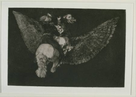 Disparate Volante (Flying folly)