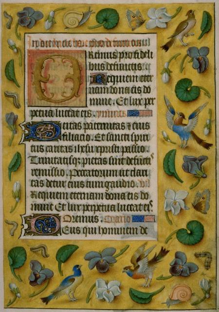Illuminated manuscript page with naturalistic border of birds, insects, and flowers