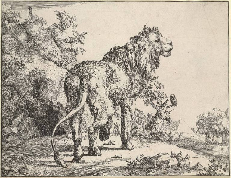 A Standing Lion