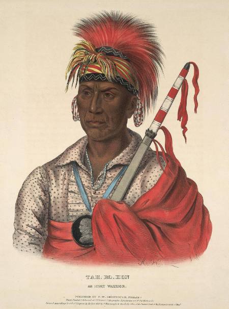 Tah-Ro-Hon, an Ioway Warrior