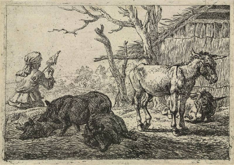 Three Swine and Two Asses, Plate 4 from the Set of Various Animals