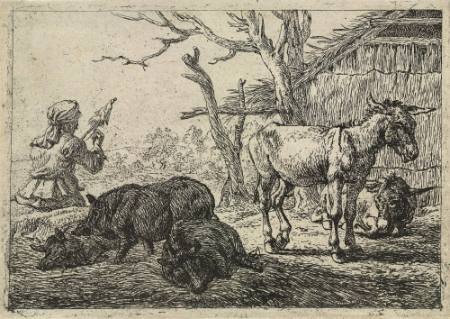 Three Swine and Two Asses, Plate 4 from the Set of Various Animals