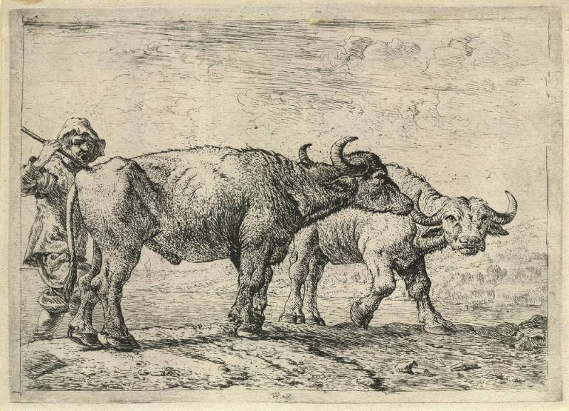 Two Buffaloes and the Shepherd, Plate 7 from the Set of Various Animals