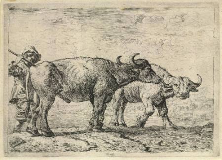Two Buffaloes and the Shepherd, Plate 7 from the Set of Various Animals