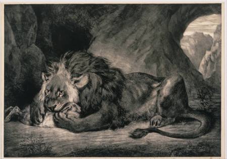 Lion d'Atlas
