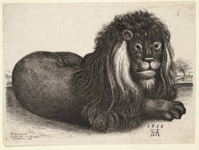 Reclining Lion