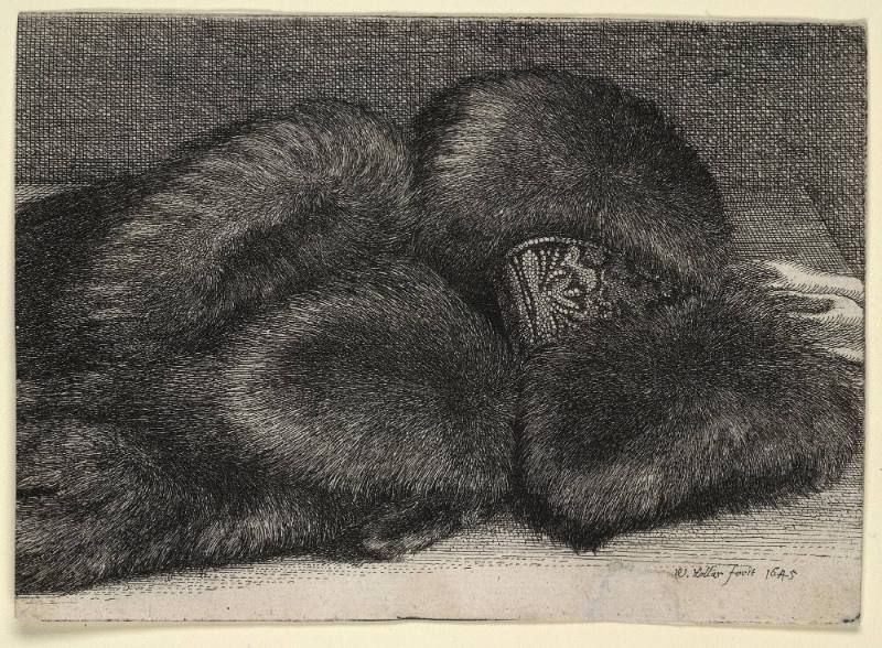 Muffs and White Cloth, Pl. 6 from series of Muffs