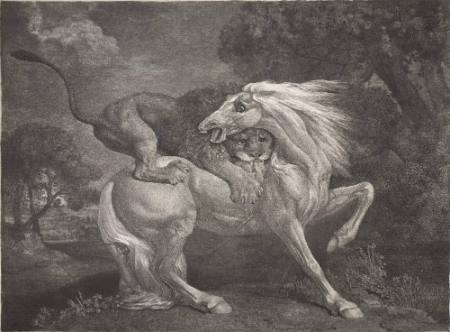 A Horse Attacked by a Lion