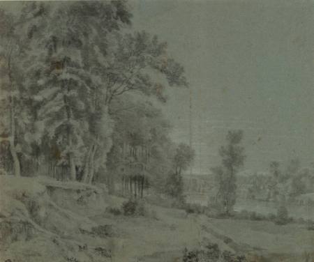 Wooded Landscape