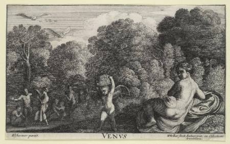 The Realm of Venus