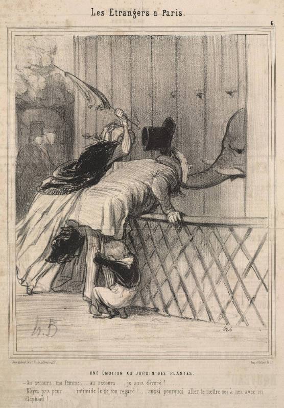 Les étrangers à Paris - Une émotion au Jardin des Plantes