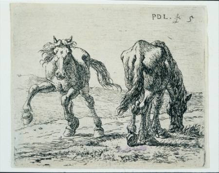 "The Set of Horses" - a set of six prints