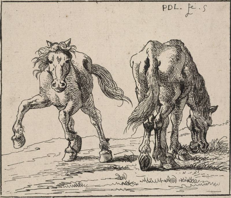 The Set of Horses  -set of six  (copies)