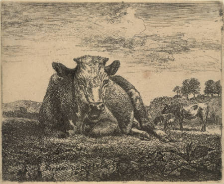 Recumbant Cow, Plate 2 from Different Animals