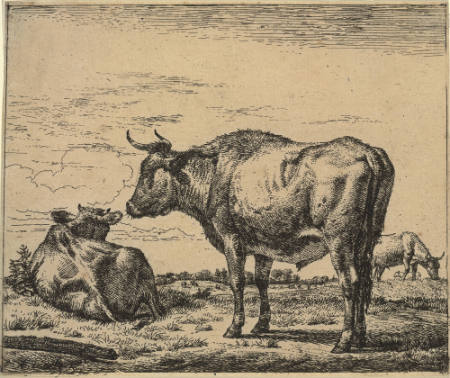 Two Cows and a Sheep; Plate 4 from Different Animals