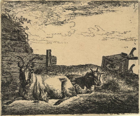 Recumbent Goats, Plate 10 from Different Animals