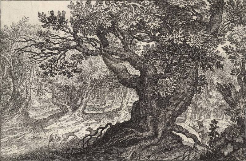 Fox Hunt in a Forest