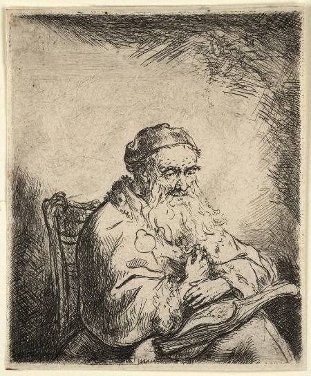 A Capuchin Reading a Book