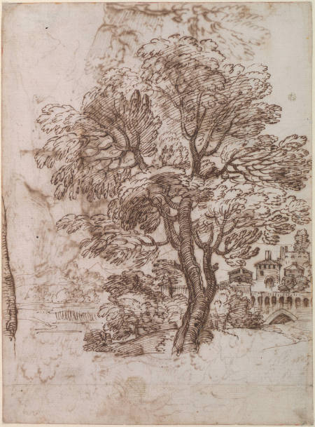 A Tree/Landscape with Trees