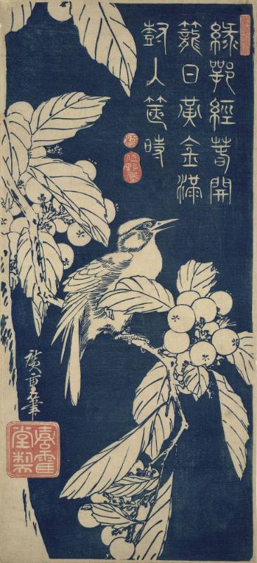 Bird on a Loquat Tree (Biwa no Tori)