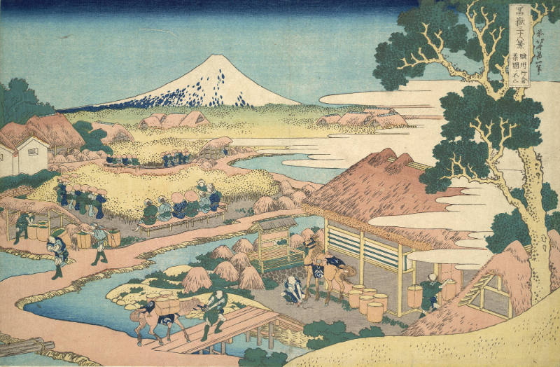 Fuji from a Tea Field in Katakura, Suruga Province, #30 from Thirty-six Views of Mount Fuji