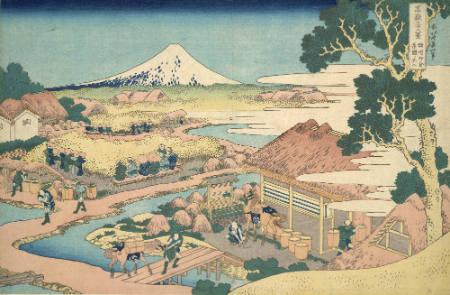 Fuji from a Tea Field in Katakura, Suruga Province, #30 from Thirty-six Views of Mount Fuji
