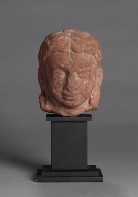 Head of Shiva