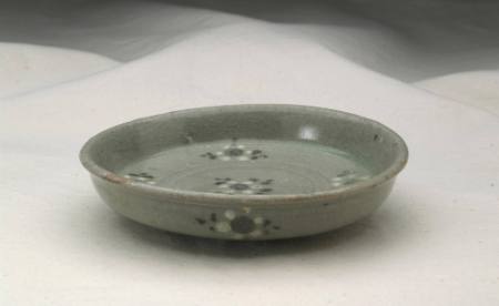 Dish