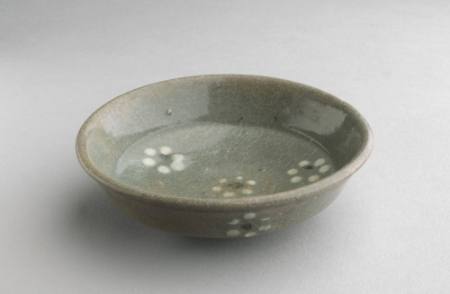 Dish