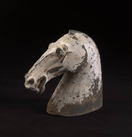 Head of a horse