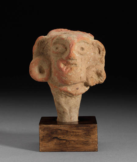 Head of man or woman