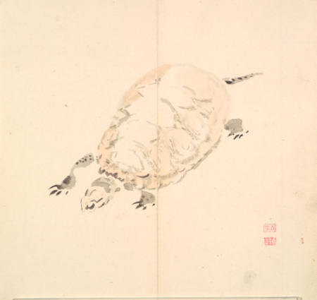 Album of Sketches