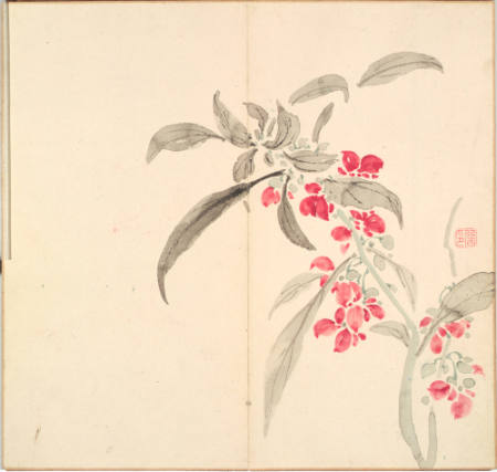 Album of Sketches