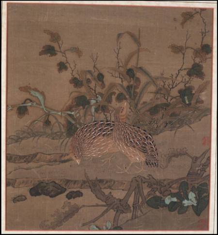 Two Quails