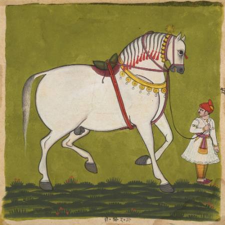 Number 14 of a Shalihotra (Types of Horses)