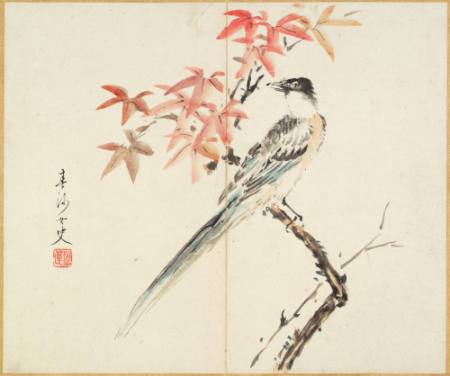 Album of 12 leaves depicting birds, fruits and flowers