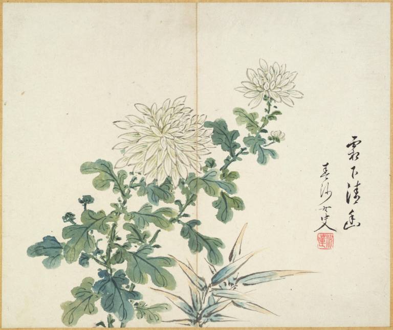 Album of 12 leaves depicting birds, fruits and flowers