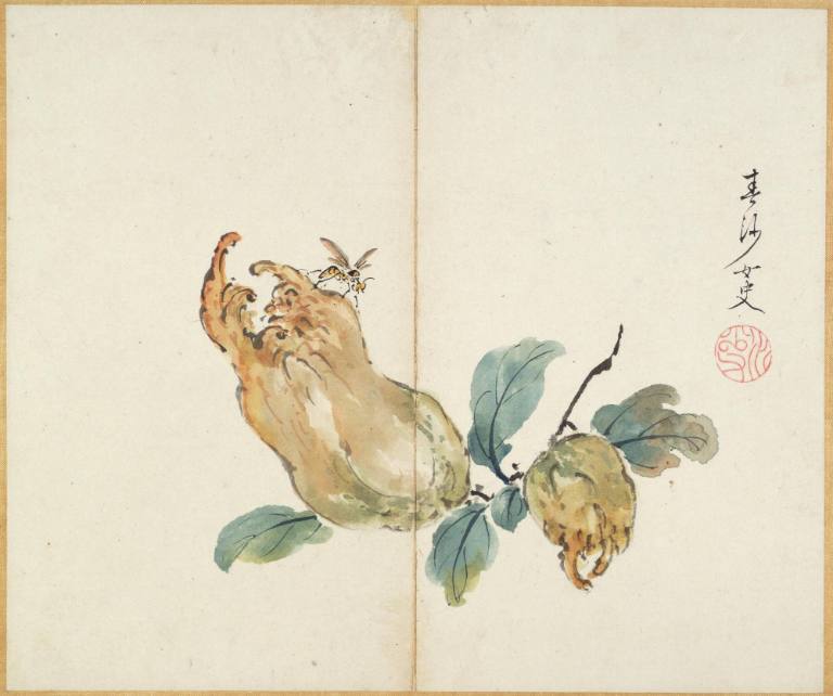 Album of 12 leaves depicting birds, fruits and flowers